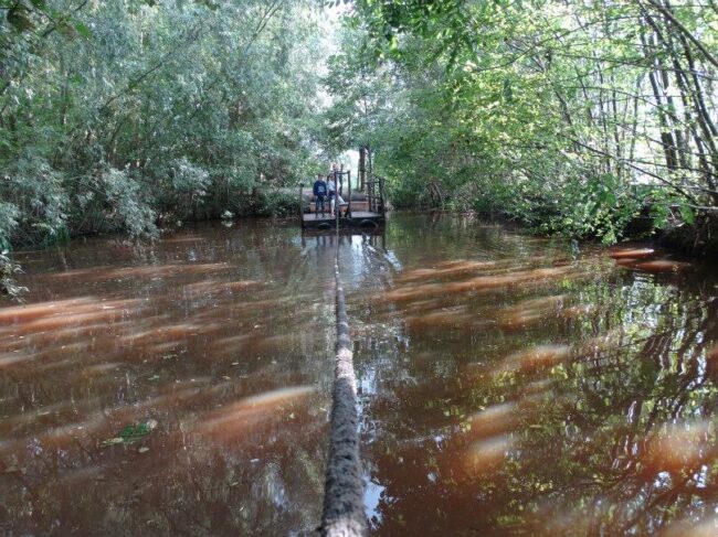 c5a977c0-c669-46a5-a1be-8a24d2622229